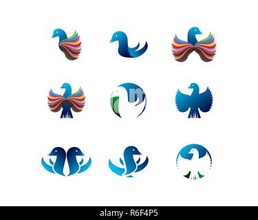 bird logo collection Stock Photo