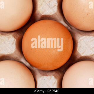 the eggs in the carton boxes laying, top view closeup Stock Photo