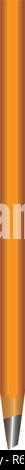 Lead Pencils on Vector background with realistic 3D wooden colorful colored pencil. Vector of lead pencil on white background. Vector illustration art Stock Vector