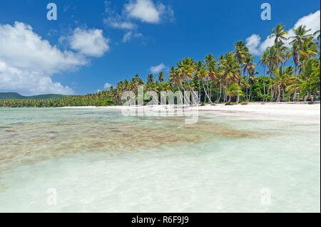 tropical caribbean beach Stock Photo