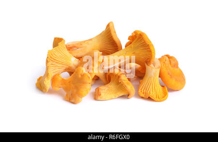 Cantharellus cibarius, commonly known as the chanterelle, or girolle. Isolated. Stock Photo