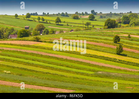 Patterned Landscape Organic Farm Near Roztocze National Park, Poland Stock Photo