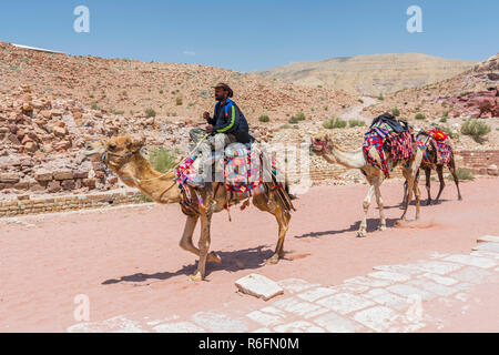 Bedouin Men With Their Camels, Petra, Jordan Stock Photo