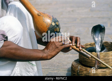 Snake Charmer playing pungi in front of snake Stock Photo