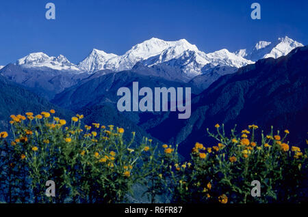 Kangchenjunga mountain, Kanchenjunga mountain, Great Himalaya Range, sikkim, india, asia Stock Photo
