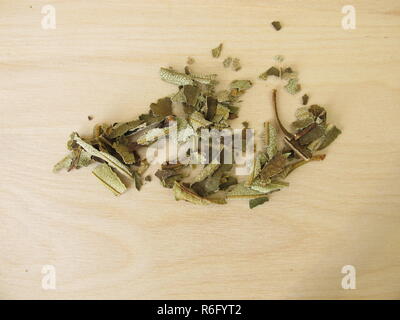dried neem leaves Stock Photo