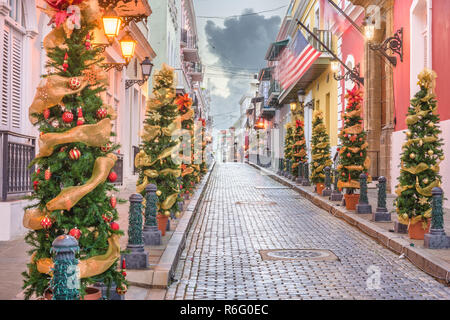 San Juan, Puerto RIco Christmas tree lined road in the old town.l Stock Photo