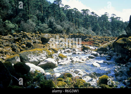 Teesta river flowing, Thangsing, Namchi, Dzongri, sikkim, india, asia