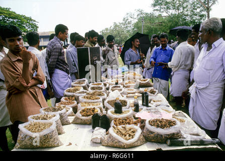 Ayurvedic medicine market,  ancient Indian medical system, Kerala, India, Indian ayurveda medicine vendor Stock Photo