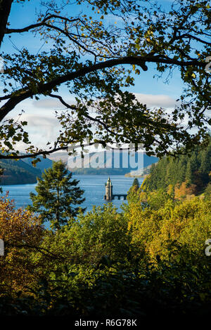 Autumn in Wales - The daytime view of the woodland and trees surrounding Lake Vyrnwy Hotel, Powys Wales UK Stock Photo