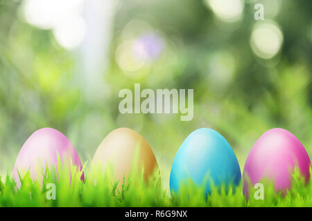 Row of colorful easter eggs Stock Photo