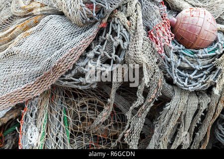 Sea shell abstract background with fishing net and rope on old oak wood  Stock Photo - Alamy