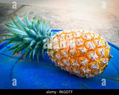 fresh pineapple / ripe pineapple yellow on blue ground from tropical fruit garden Stock Photo