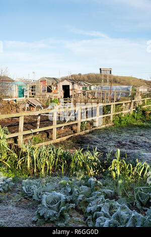 Allotment garden in winter with Penshaw monument in the background, Sunderland, England, UK Stock Photo