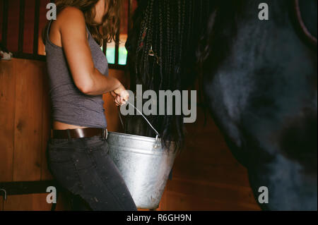 female horseman holding a bucket of water quenching thirst  Friesian horse, in a stable on a farm, caring for thoroughbred pets Stock Photo