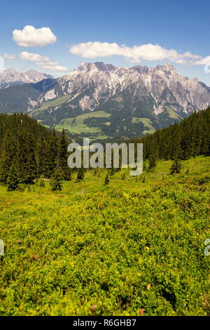 Leogang Mountains Leoganger Steinberge with highest peak Birnhorn, idyllic summer landscape Alps, Zell am See district, Austria Stock Photo