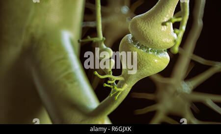 synaptic contacts between neurons- 3D Rendering Stock Photo