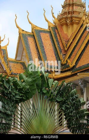 Traveller's palm (Ravenala madagascariensis) outside the Throne Hall (Preah Timeang Tevea Vinicchay), Royal Palace, Phnom Penh, Cambodia Stock Photo