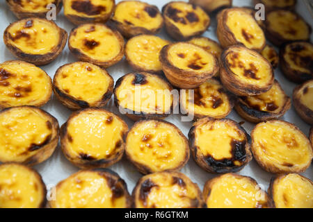 Pastel de nata Portuguese egg tart pastry displayed in bakery window Stock Photo