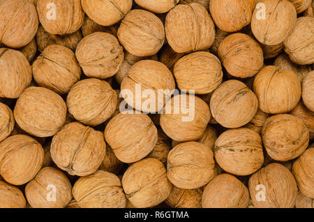 Walnuts background close up. Unshelled dried seeds of the common walnut tree Juglans regia. Pile of whole nuts with shells, used as snack. Stock Photo