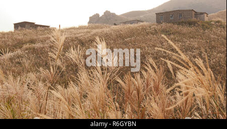 Hiking trail on mountain in autumn Stock Photo