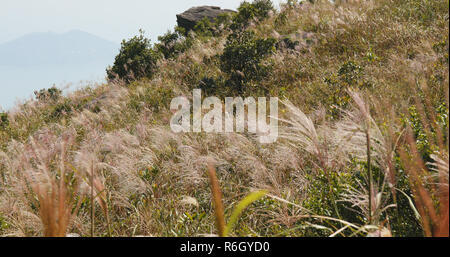 Hiking trail on mountain Stock Photo