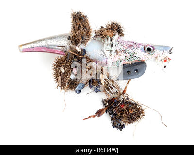 MASSA CARRARA, ITALY – DECEMBER 6, 2018: Plastic fishing lure washed up on beach, representing environmental pollution but also danger to people, pets and other animals - with fierce hooks. On white. Stock Photo