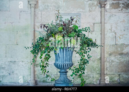 Stone vase planter with fustian green flowers and cascading green ivy and leaves. Grey cobble stones. Gorgeous design in front of medevial wall with c Stock Photo