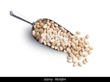 Dried borlotti beans. Stock Photo