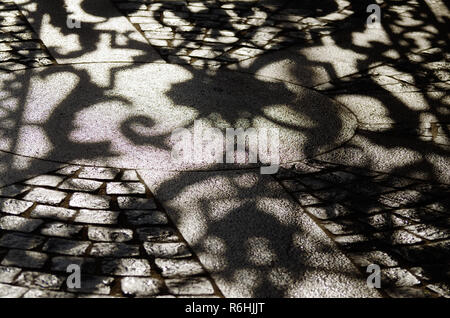 bright sunny day.The contrasting shadow on the pavement from the wrought-iron gate. Stock Photo