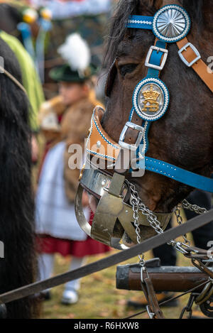 Leonhardi decorated big cold blooded horses Bad Toelz Germany Stock Photo