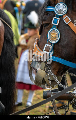 Leonhardi decorated big cold blooded horses Bad Toelz Germany Stock Photo