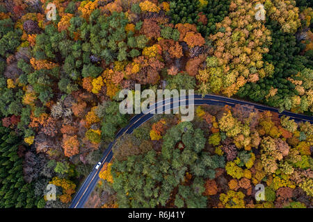 Beautiful road in autumn forest. Aerial landscape of fall season, top view of car on forest road taken by drone, Japan. Stock Photo