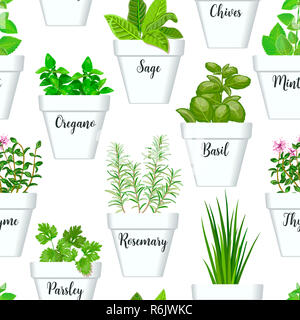 Big icon seamless pattern vector set of culinary herbs in white pots with labels. Green growing basil, sage, rosemary Stock Photo