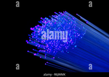 Fiber optics in blue, close up isolated on black background Stock Photo