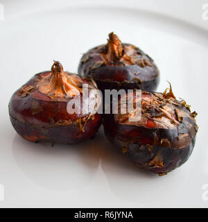 A trio of fresh water chestnuts (Eleocharis dulcis) on a white plate. Stock Photo