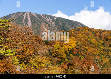 Mount Nantai and golden autumn Stock Photo