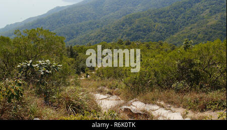 Hiking trail on mountain in autumn Stock Photo