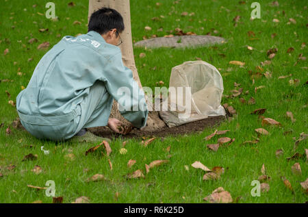 Worker removing weeds and leaves in Peoples park in Shanghai Stock Photo