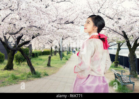 Asian Korean woman wearing traditional Korean hanbok looking cherry blossom in garden in Seoul, South Korea. Cherry blossom in Seoul, South Korea. Stock Photo