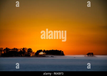 The sun goes down behind the trees Stock Photo