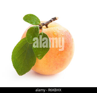 Peach. Fresh peach with green leaf and water drops isolated on white background Stock Photo