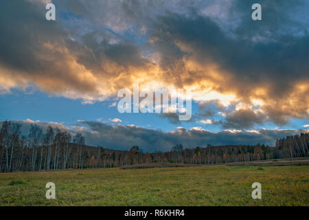 Autumn landscape with dried grass in the meadow on the background of forest and sunset sky Stock Photo