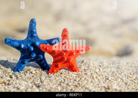 Blue and red starfishes pinned on sand at the beach. Stock Photo
