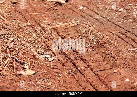 Tractor, excavator, car, automotive tire tracks on muddy trail. Mud and wheel trace on road after rain. Mud with truck wheel track in rainy day. Stock Photo