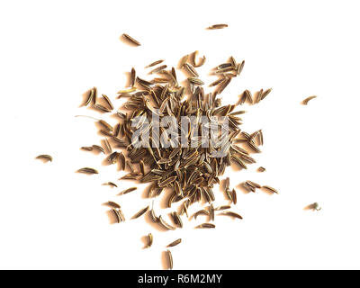Black Cumin (Bunium bulbocastanum) seeds over white Stock Photo