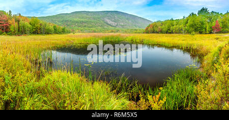 Beaver Dam Pond in Acadia National Park Stock Photo