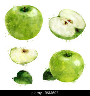 Green Apple on white background. Watercolor illustration Stock Photo