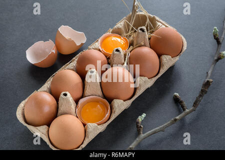 chicken eggs in a cardboard grid Stock Photo