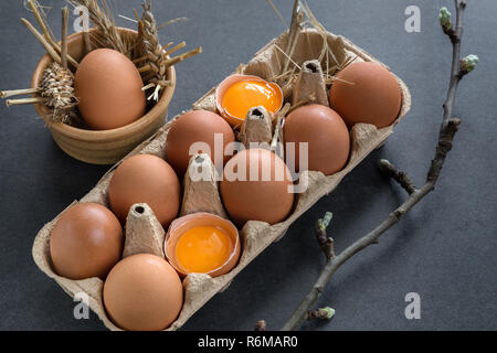 chicken eggs in a cardboard grid Stock Photo